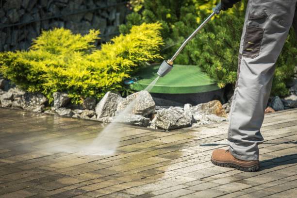 Best Roof Washing  in Saginaw, MI