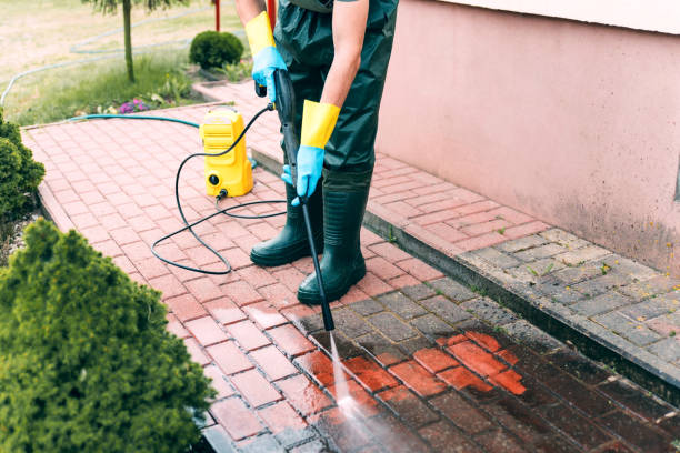 Animal Enclosure Cleaning in Saginaw, MI